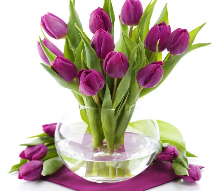 Hoa Tulip hay còn gọi là hoa Uất kim hương. Hoa Tulip hay còn gọi là hoa Uất kim hương.