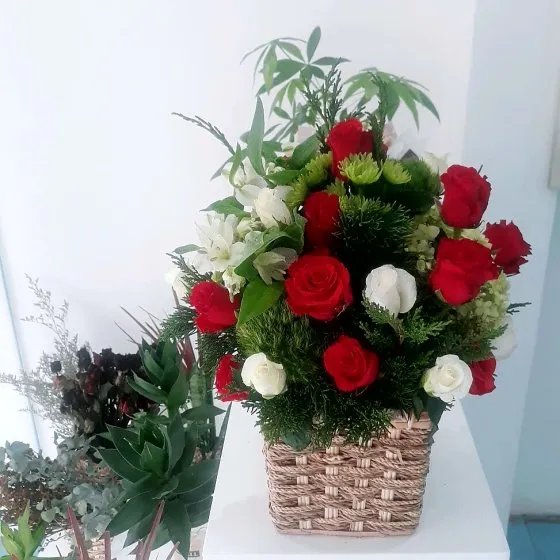 YÊU DÀI LÂU - HHG1035