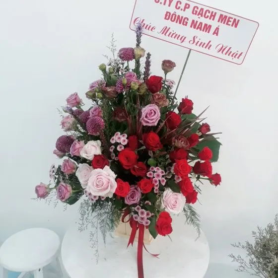 VƯƠN CAO - HHG1022