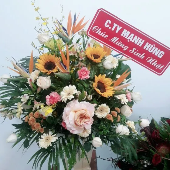 Bình Yên Màu Nắng - HHG1037