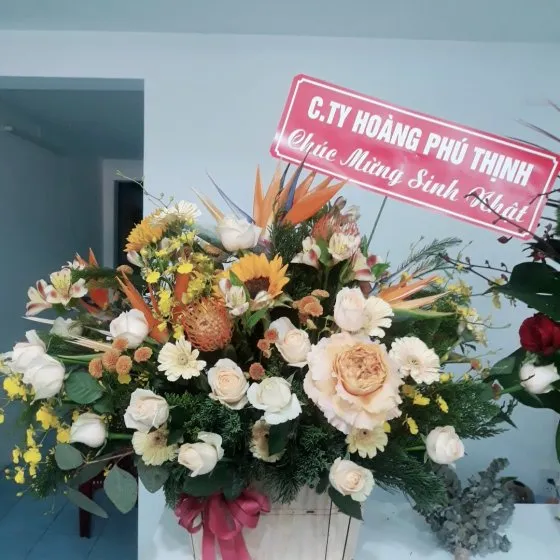 My Sunshine - HHG1038