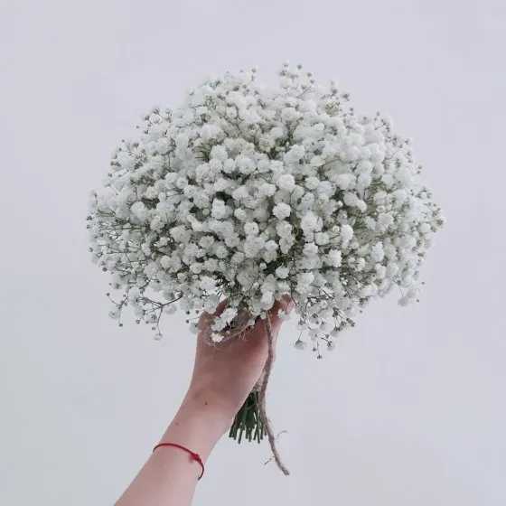 BREATH HEART - HC1010