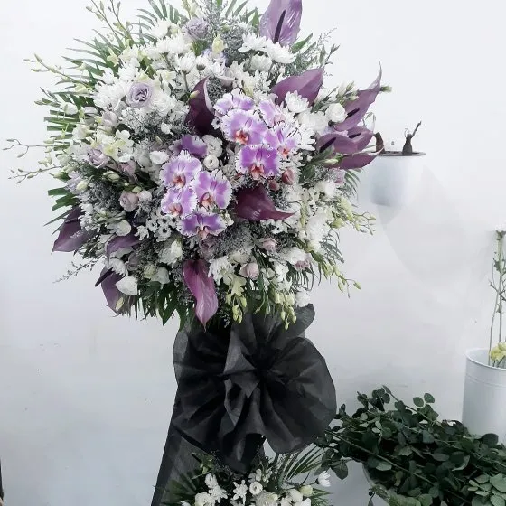 Tiễn Đưa - VH1001