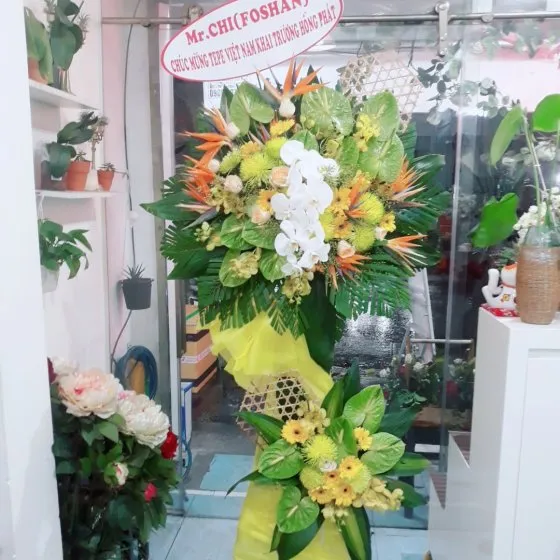 VẠN SỰ CÁT TƯỜNG - KH 1001