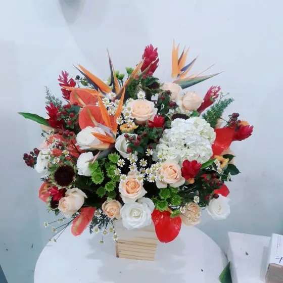 TÌNH KHÔNG BIÊN GIỚI - HHG1016