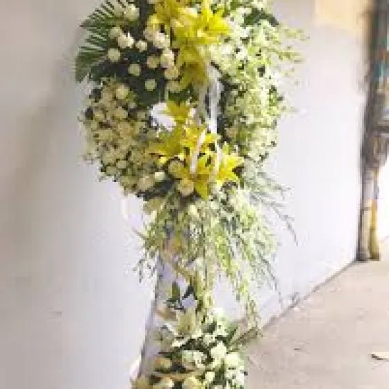 Thành Kính - VH1005