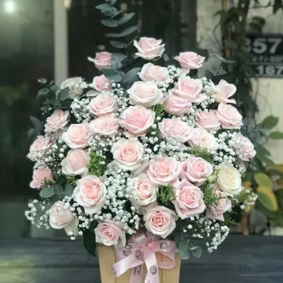 TÌNH HỒNG - HHG1059