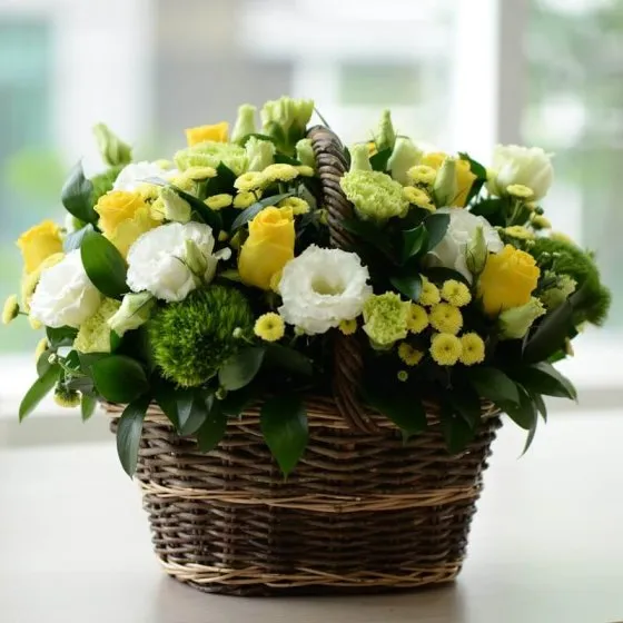 NGÀY TƯỚI SÁNG -HHG1057