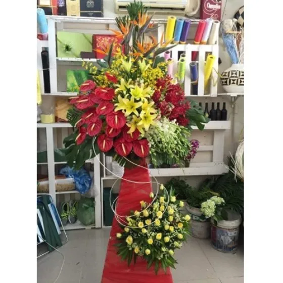 VƯƠN TỚI ĐỈNH CAO - KH1030