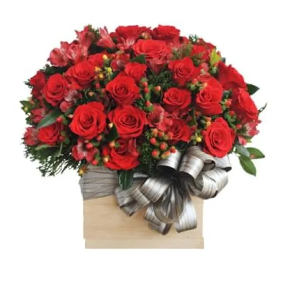 Nồng Ấm - HHG1031