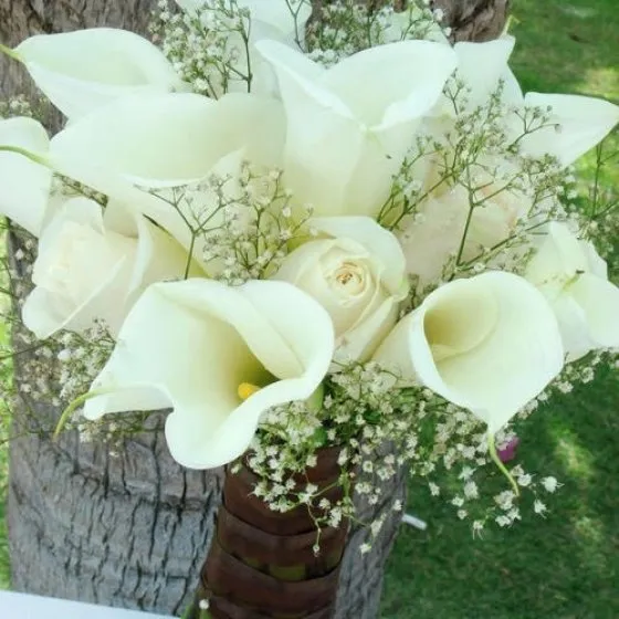 HẠNH PHÚC LỨA ĐÔI - HC1022