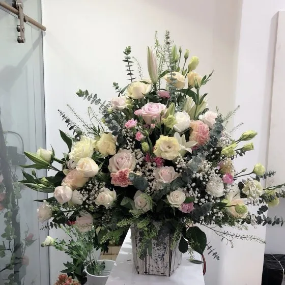 KHÚC THỤY DU - HHG1061