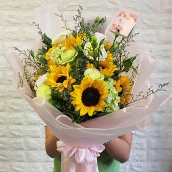 CỔNG MẶT TRỜI - HB1026