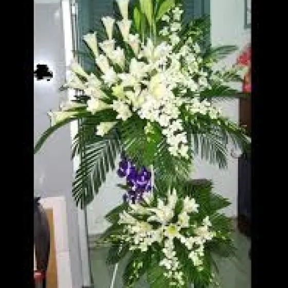 TẠM BIỆT - VH1006