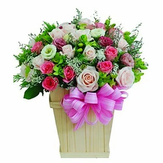 NGÀY XANH ƠI - HHG1058