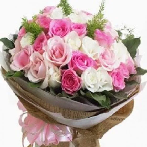 PHÚT YÊU ĐẦU - HB1025