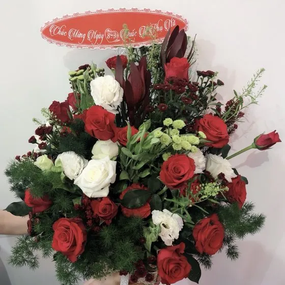 ĐÊM ĐÔNG - HHG1060