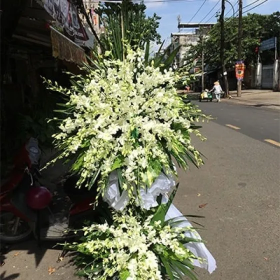 KÍNH VIẾNG - VH1010