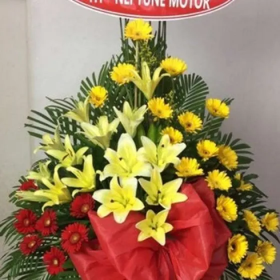 VỮNG MẠNH - KH1025