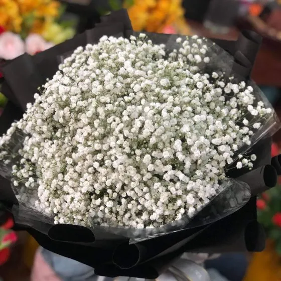 BABY I LOVE YOU - HB1016