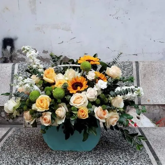 HOPEFULLY  - HHG1049