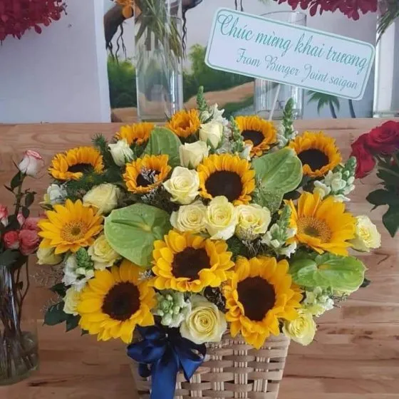 Nắng Ấm - HHG1029