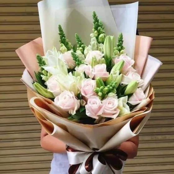 LỜI TỎ TÌNH CỦA MÙA XUÂN - HB1014