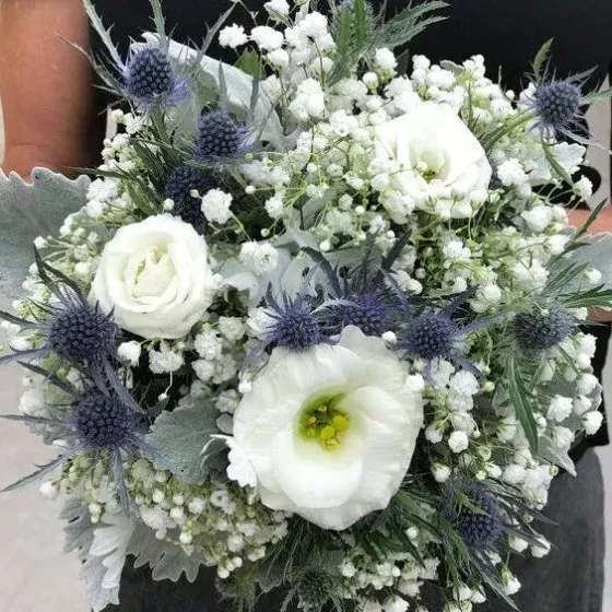 MẮT BIẾC - HC1004