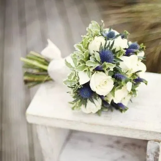 NGÀY CHUNG ĐÔI - HC1006