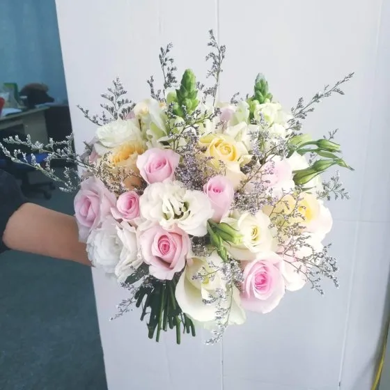 CÁNH HỒNG NGÀY ĐẦU - HC1007