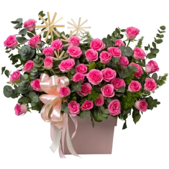 Nàng Hồng - HHG1009