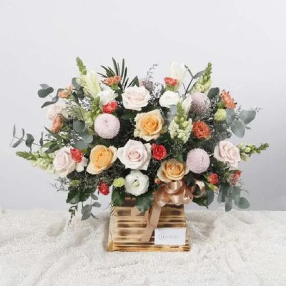 Sáng Tươi - HHG 1018