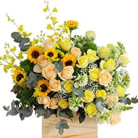 Tháng Năm Rực Rỡ - HHG1032