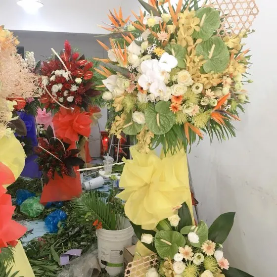 HOA KHAI TRƯƠNG 20 -kh1020