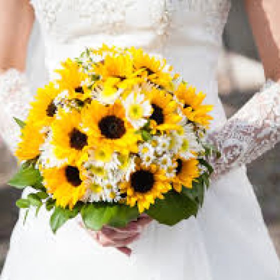 YOU ARE MY SUN - HC1020