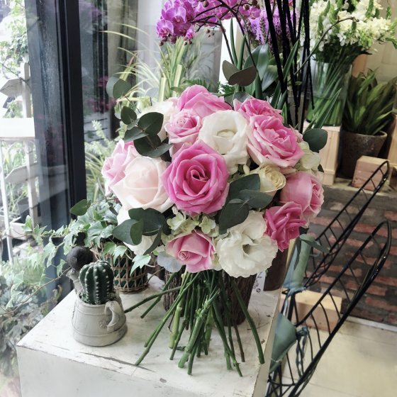 CHÂN TÌNH - HC1016