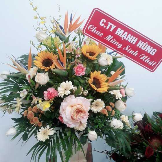 Bình Yên Màu Nắng - HHG1037