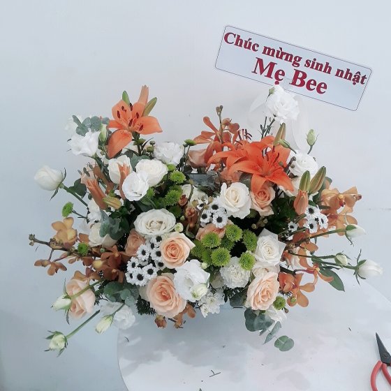 TÌNH MẪU TỬ - HHG1026