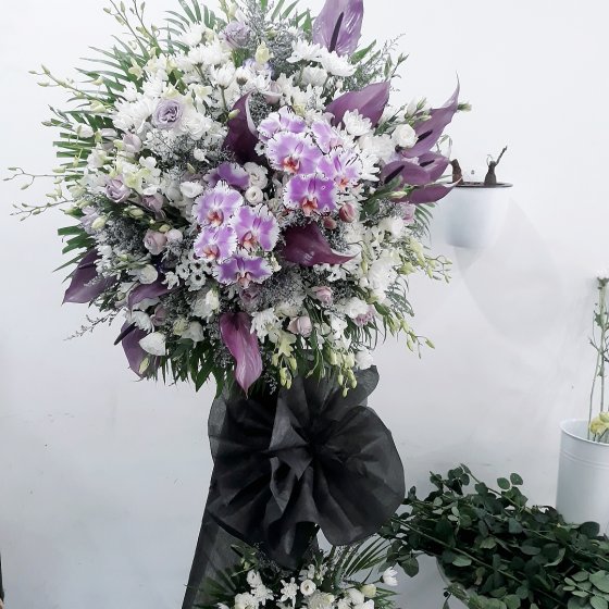 Tiễn Đưa - VH1001