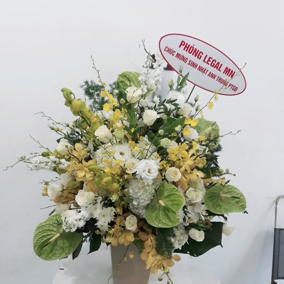 Vầng Thái Dương - HHG1014