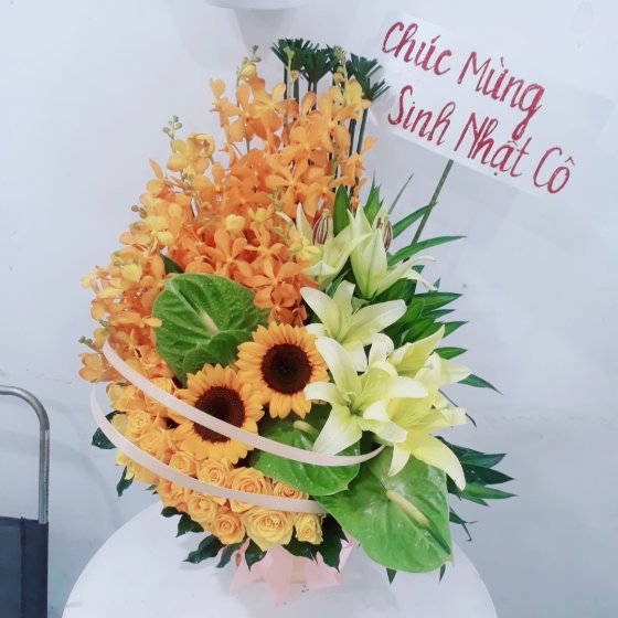 Niềm Tin - HHG1019