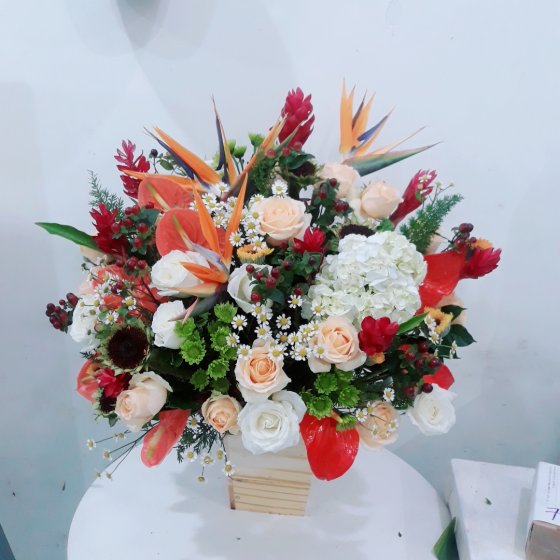 TÌNH KHÔNG BIÊN GIỚI - HHG1016