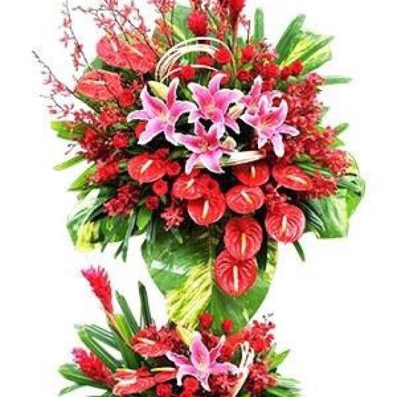 ĐẠI PHÚ QUÝ - KH1031