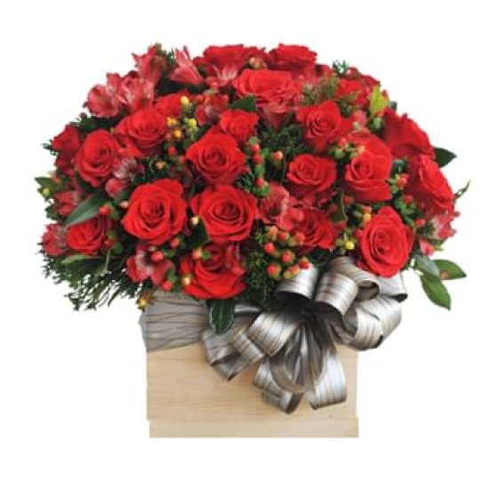 Nồng Ấm - HHG1031