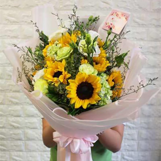 CỔNG MẶT TRỜI - HB1026