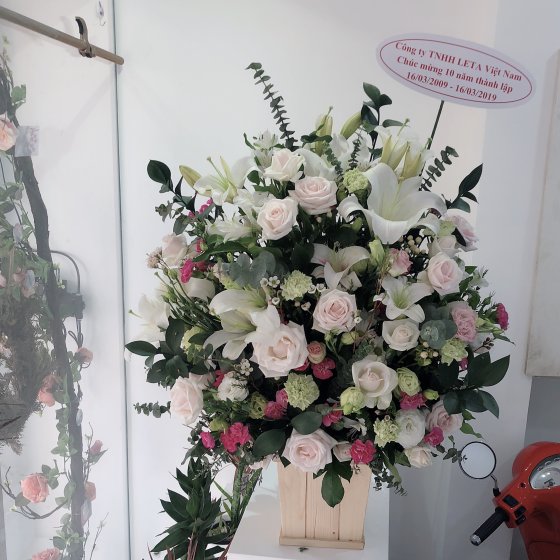 CHÂN TÌNH - HHG1051