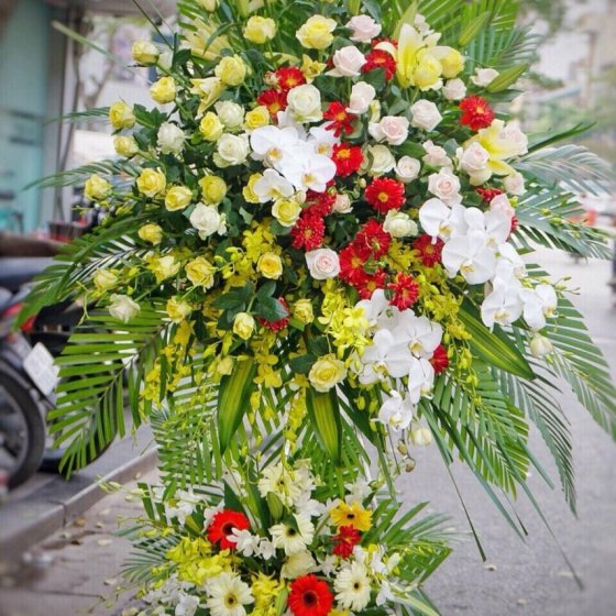  KÊ KHAI TRƯƠNG 24 - KH1024