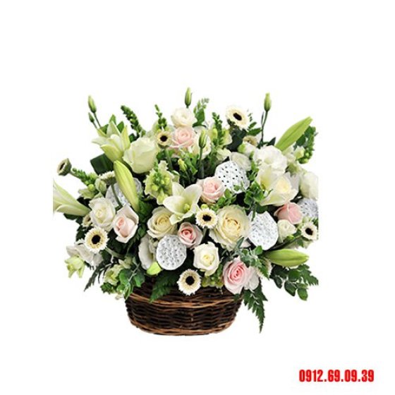 Xinh Tươi - HHG1034