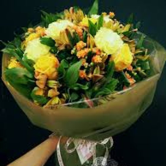 Thủy Tiên - HB1012