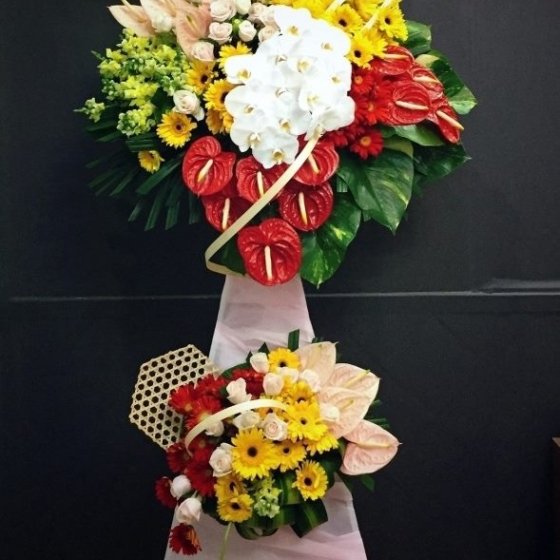 KHỞI ĐẦU SUÔN SẺ - KH1016